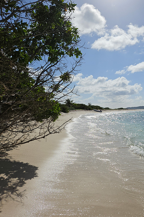 Mouillage sur une plage pendant nos croisières aux Grenadines